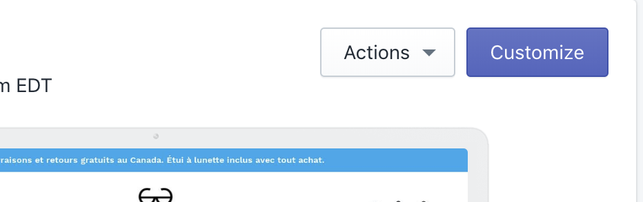 TURN OFF YOUR THEMES DEFAULT FOOTER BADGES 1b.png